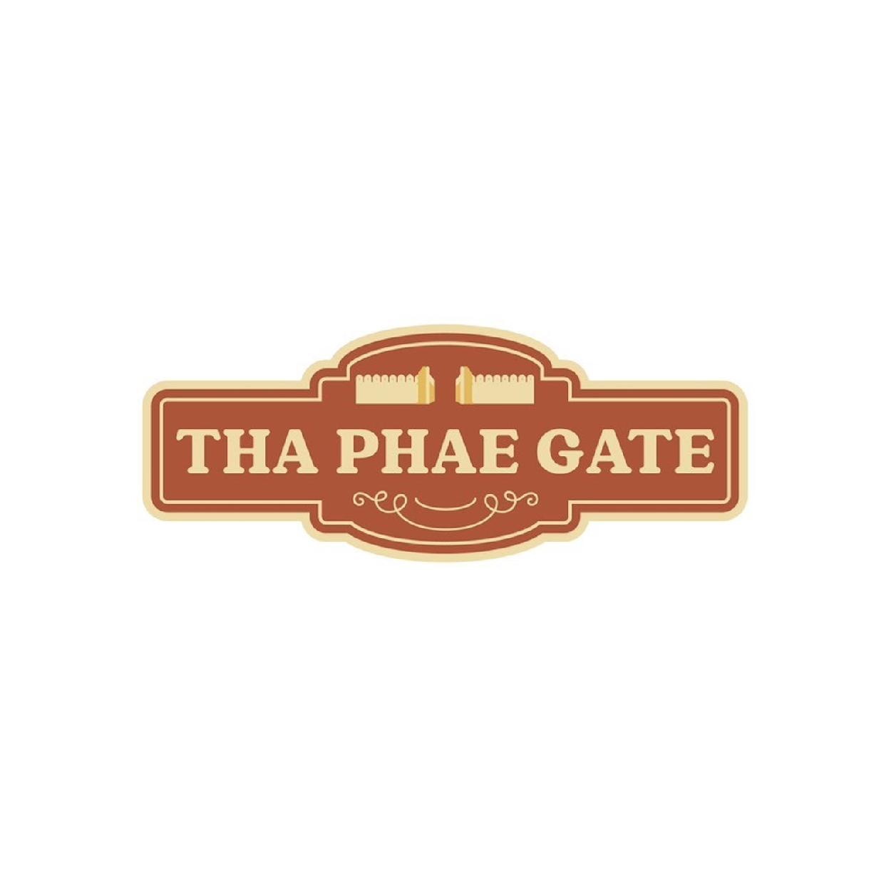 [33] Zinc Magnet Thapae Gate 1